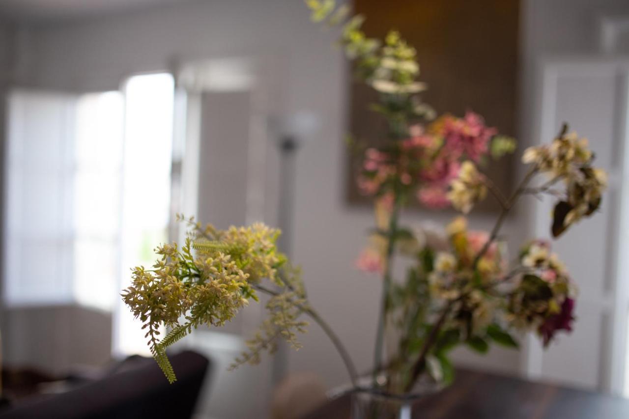 Apartment Seville Mirador Puerta Carmona Εξωτερικό φωτογραφία